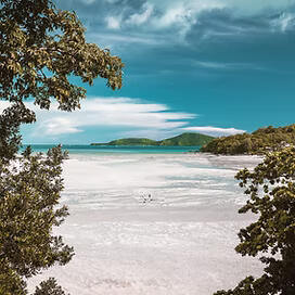 Paradise, Bioluminescent Beaches and Sea Turtle Havens